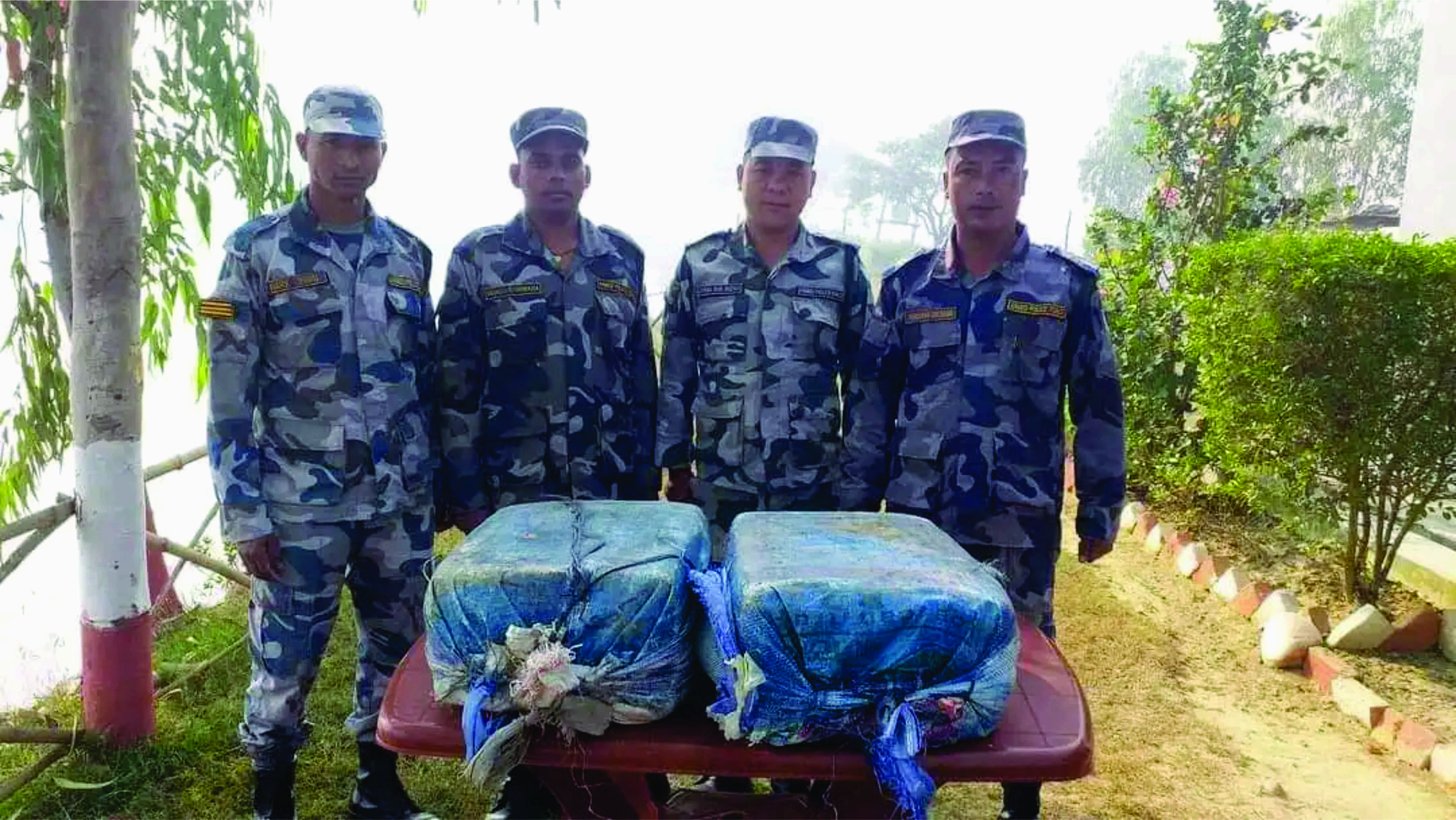  कबहीगोठबाट सशस्त्र प्रहरीले ३० केजी गाजा बरामद